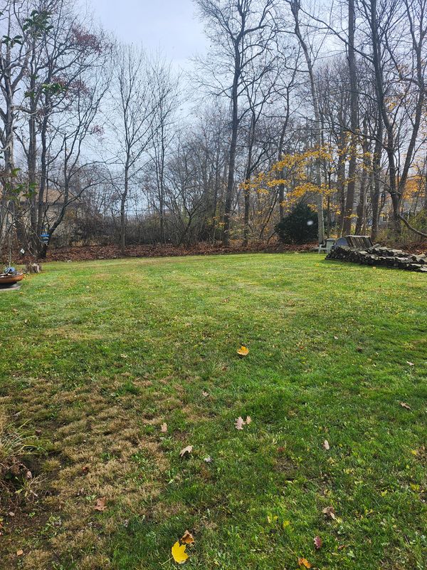 Mowing