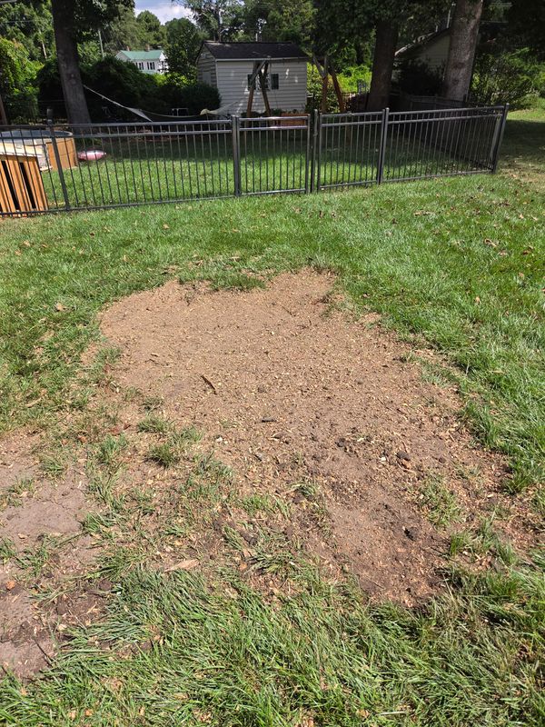 Stump Grinding