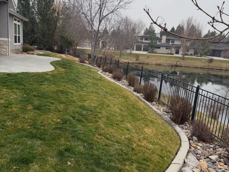 Landscape Design & Installation