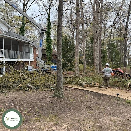 Tree Trimming