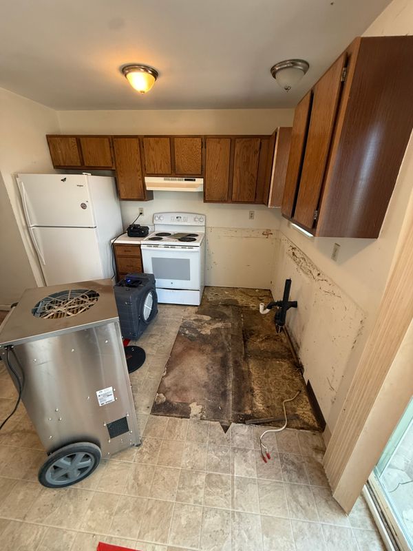 Odor Removal and Deodorization
