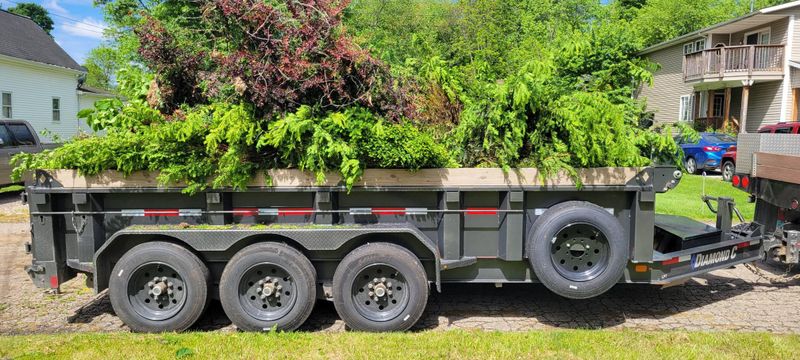 Downed Tree/Brush Removal