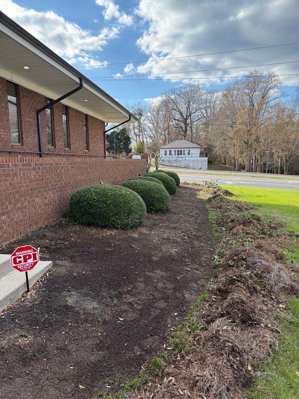 Tree & Shrub Care