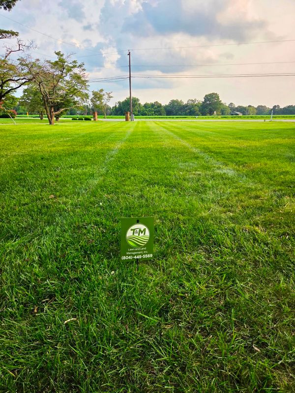 Lawn Care & Maintenance