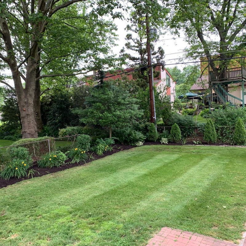 Lawn Care