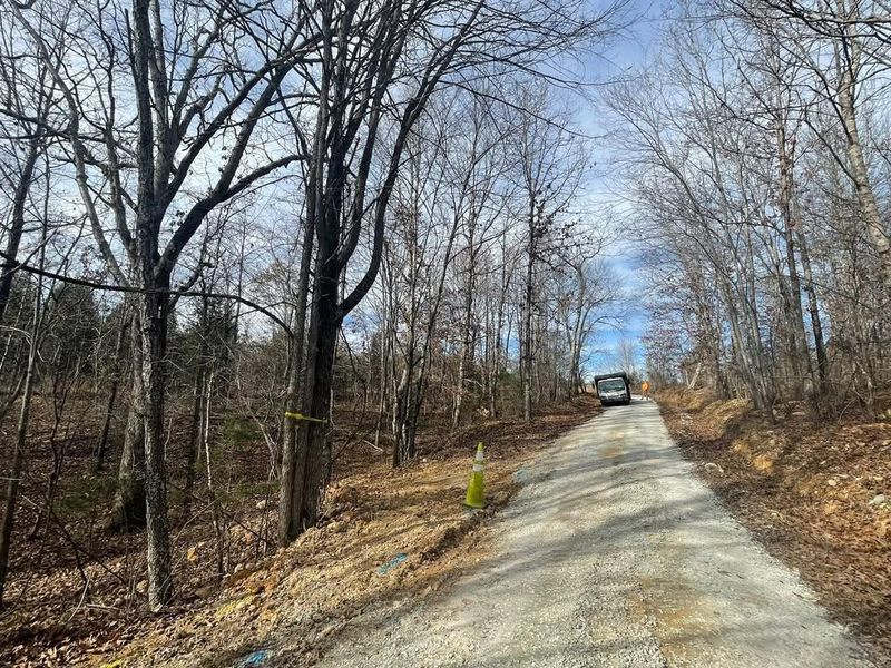 Other Tree Services