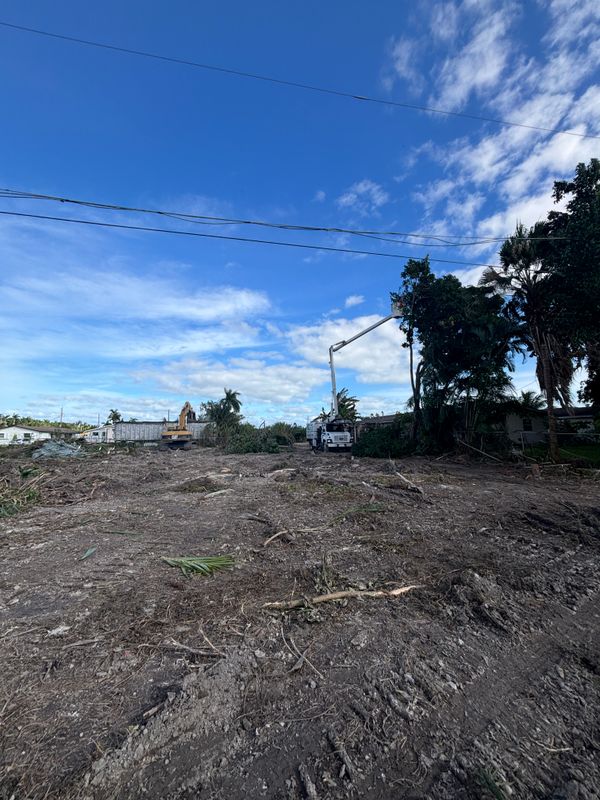 Residential Demolition