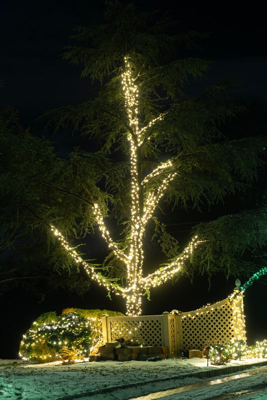 Holiday Lighting