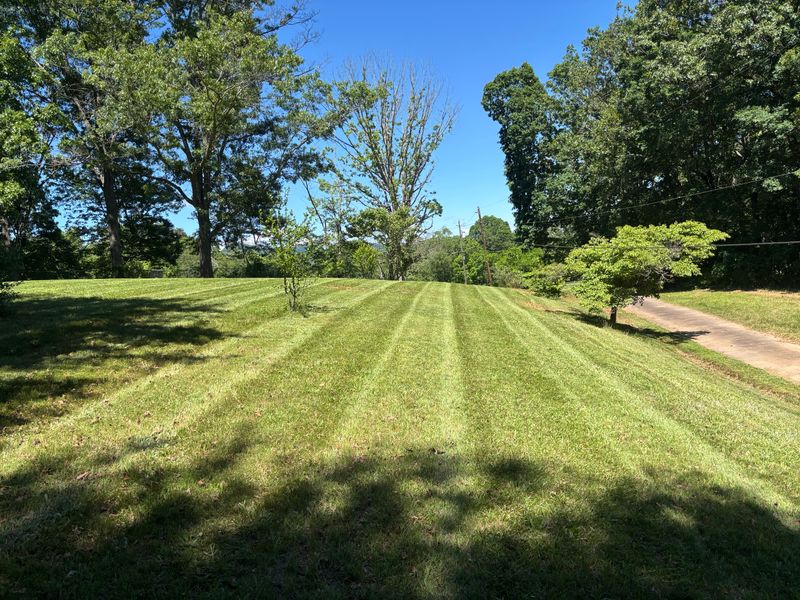Lawn Maintenance