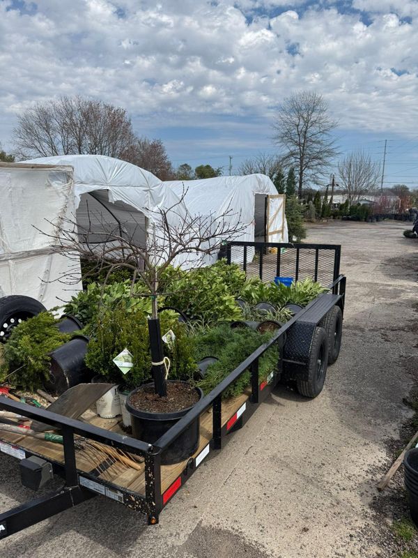 Mulch Installation