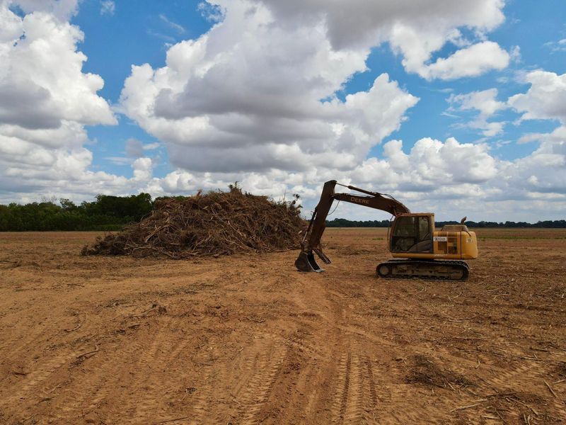 Brush cutting & Mulching