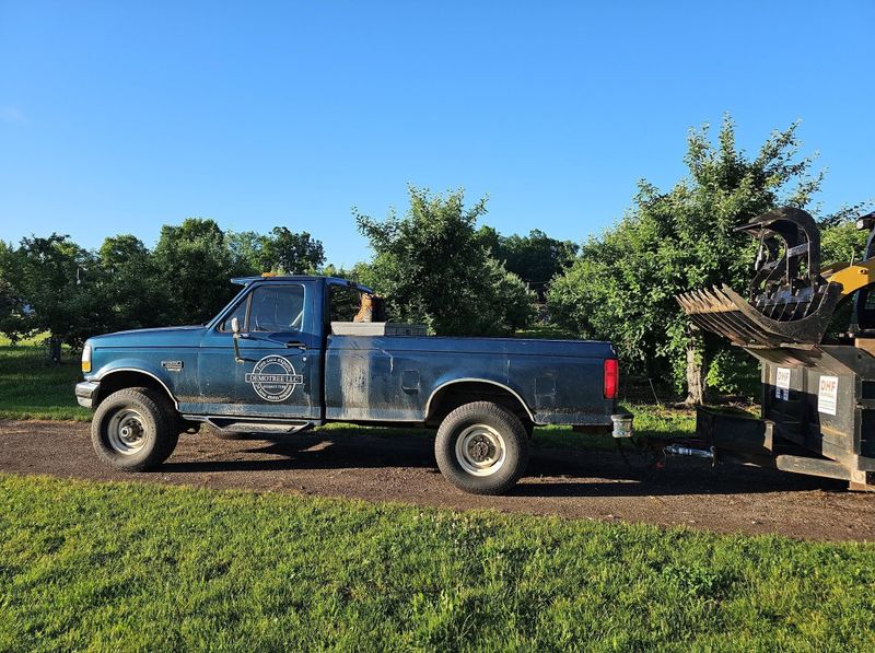 Tree Trimming