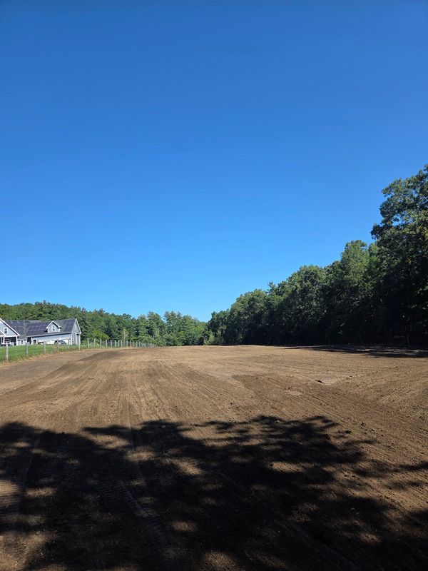 Land Clearing and Development