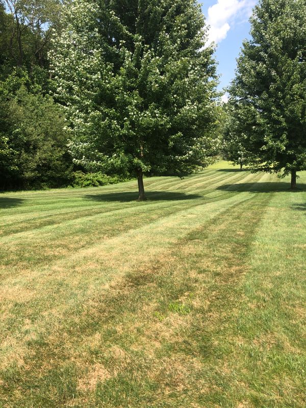Mowing