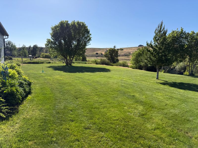 Lawn Care