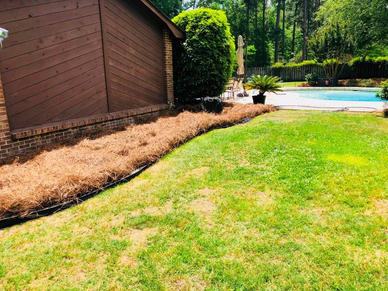 Landscape Design
