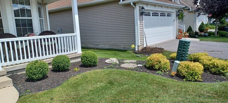 Shrub & Plant Installation Photos