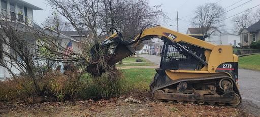 Downed Tree/Brush Removal