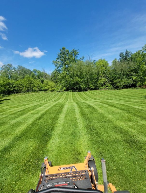 Garden Maintenance