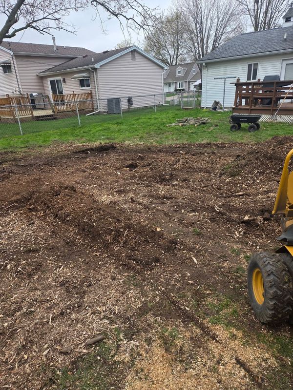 Stump Removal