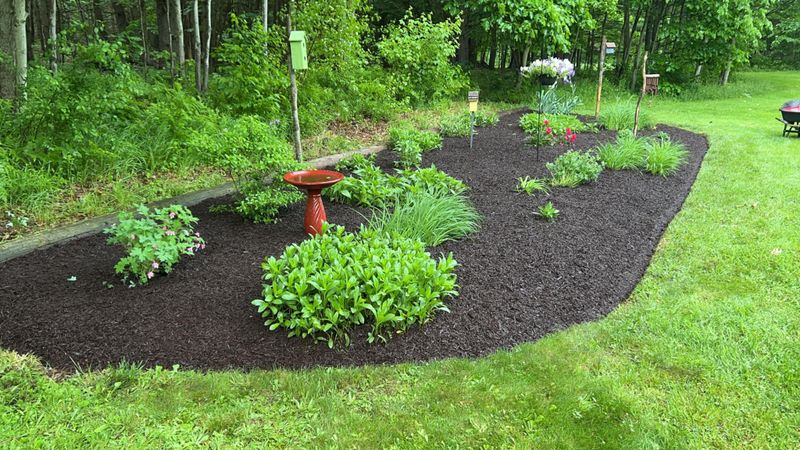 Lawn Care