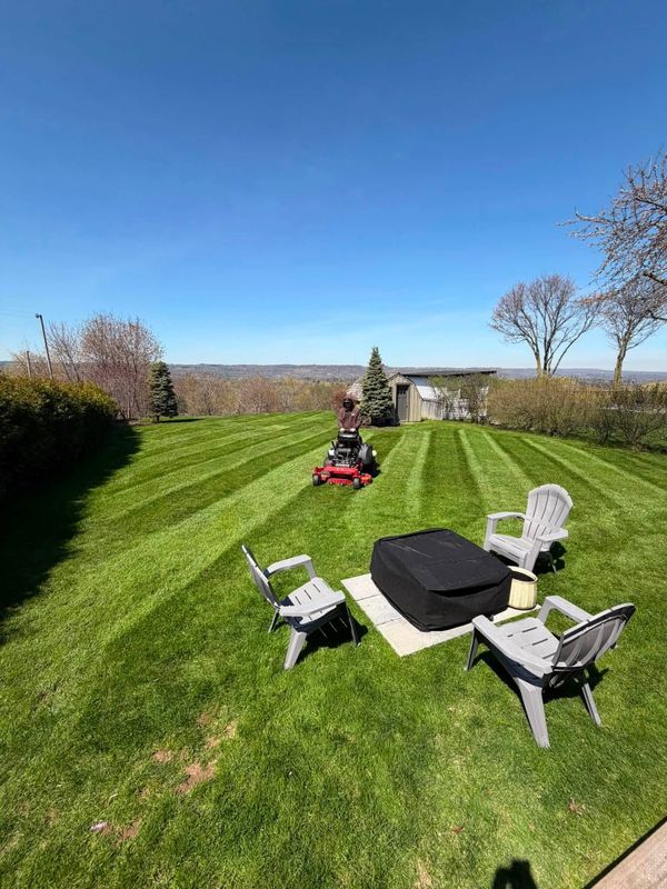 Lawn Care & Maintenance