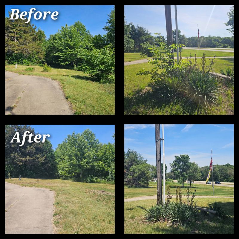 Tree Removal