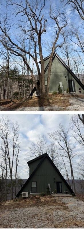 Tree Removal