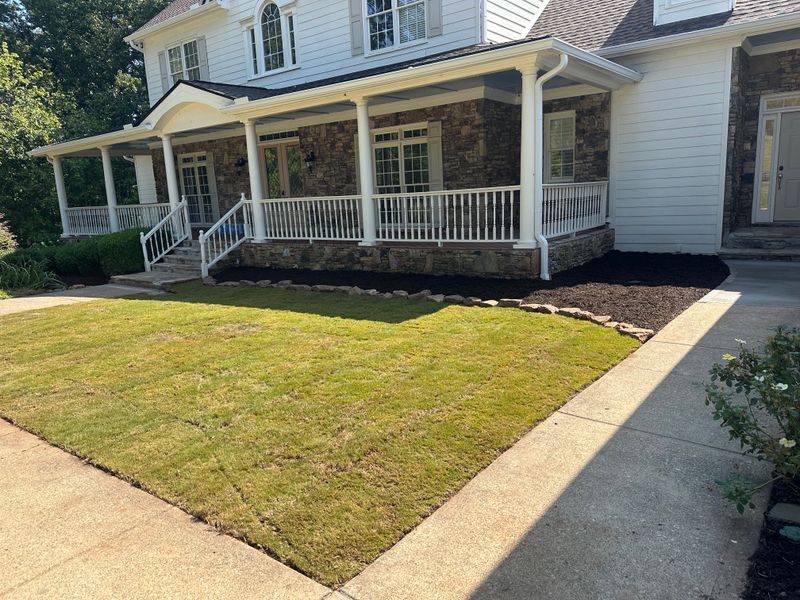 Landscape Design and Installation