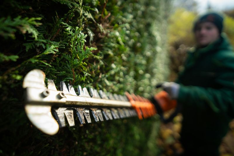 Tree & Shrub Care