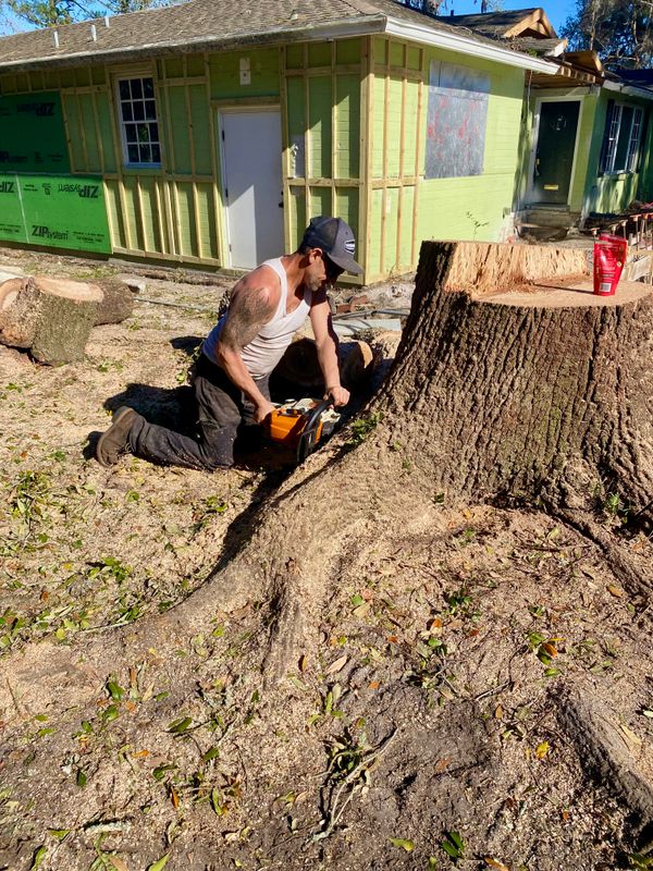 Tree Removal