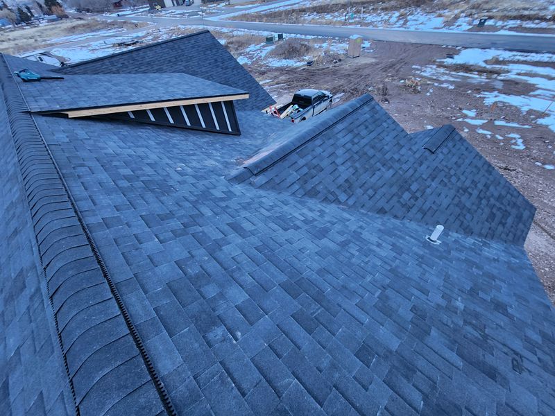 Shingle and Metal Roofs