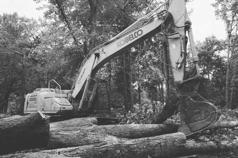 Land Clearing