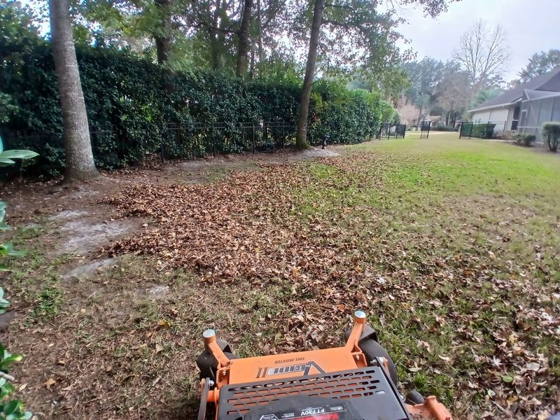 Fall Clean Up