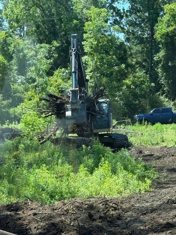 Land Clearing