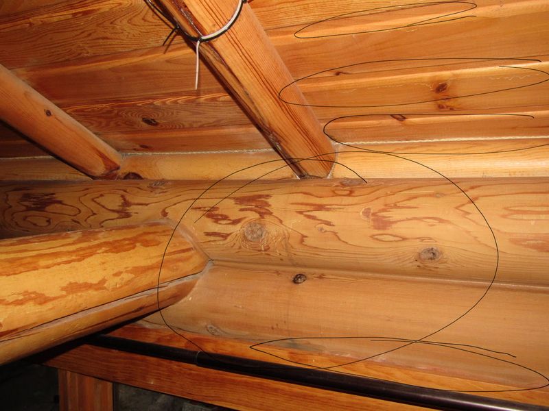 Interior Renovations
