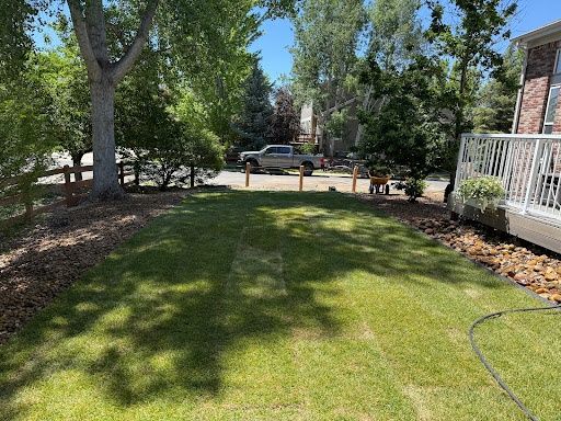 Sod Installation
