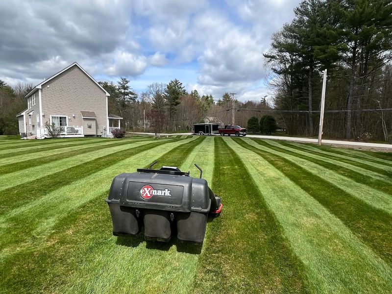 Lawn Repair and Expansions
