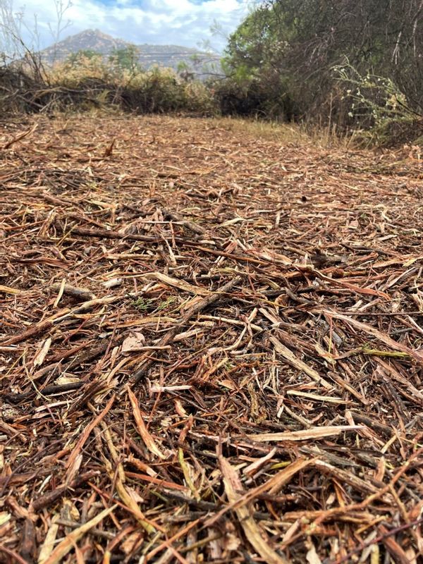 Mulch Installation