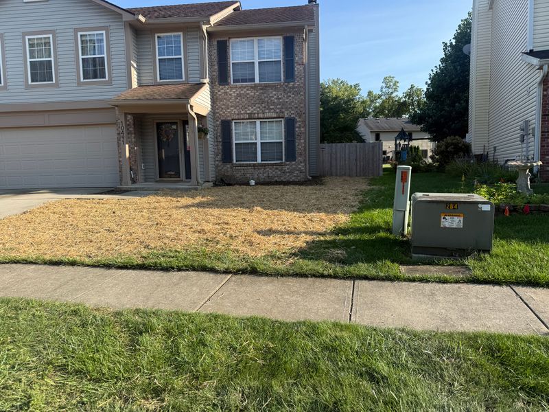 Lawn Maintenance