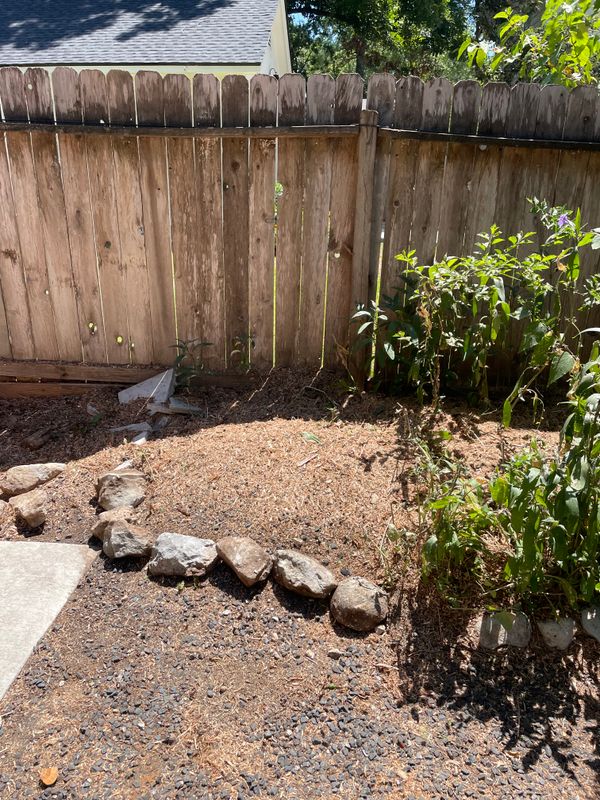 Stump Removal