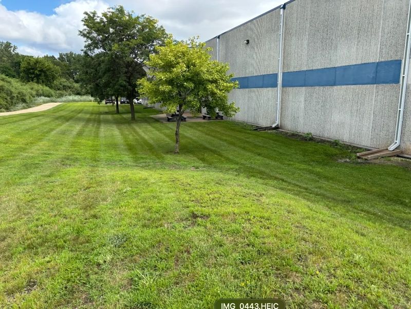Tree Trimming/Hedging