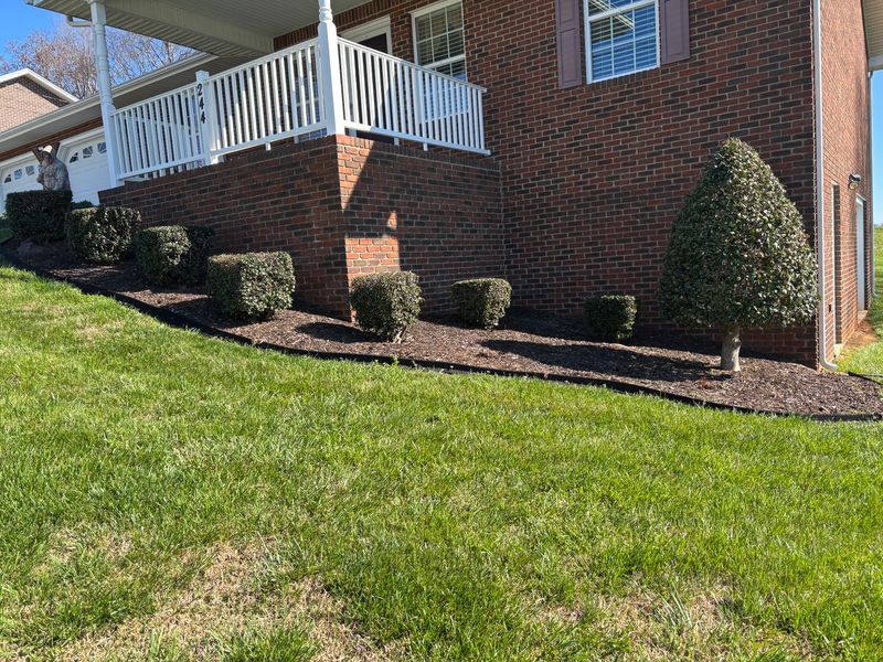 Landscape Design