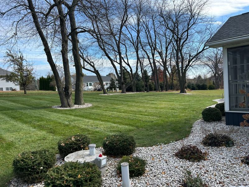 Garden Designs