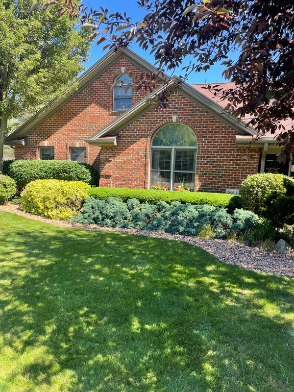 Shrub Trimming
