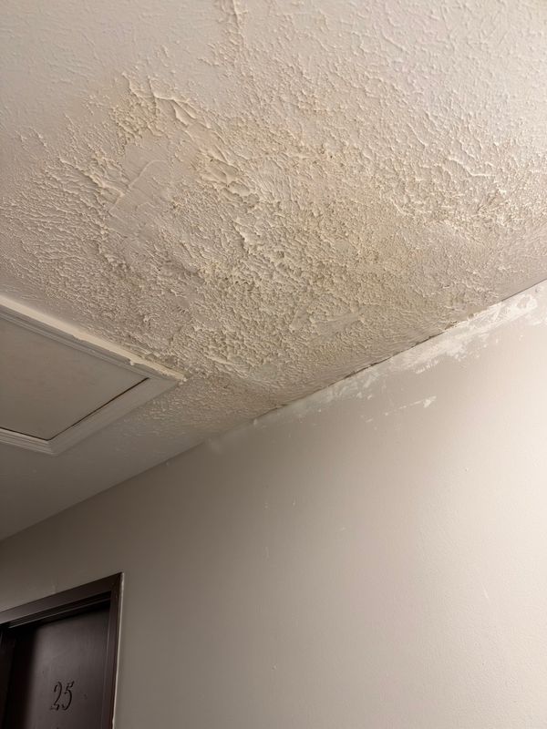 Texture Removal