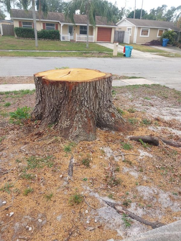 Stump Grinding