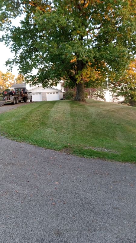 Fall Clean Up