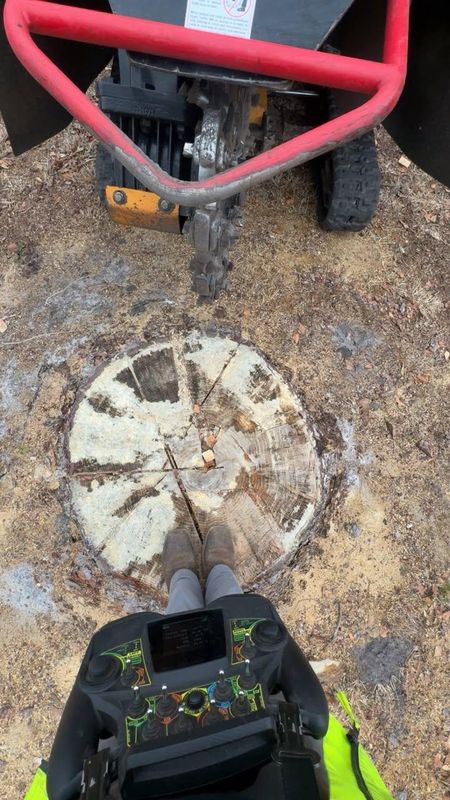 Forestry Mulching