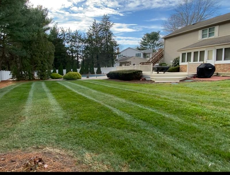 Lawn Mowing 🚜